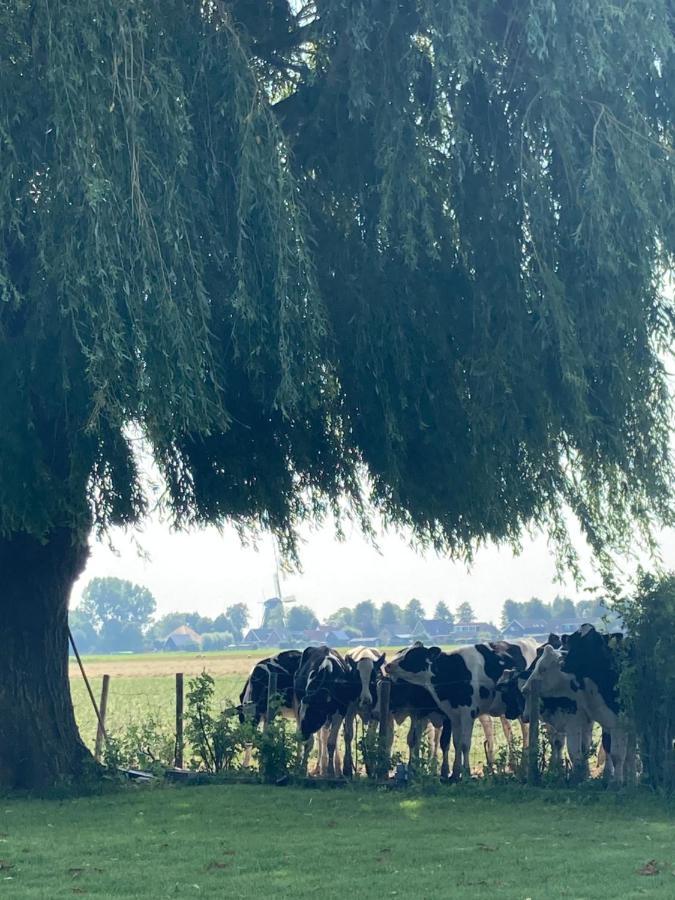 Vakantiehuis Het Uilennest Wijdenes Buitenkant foto