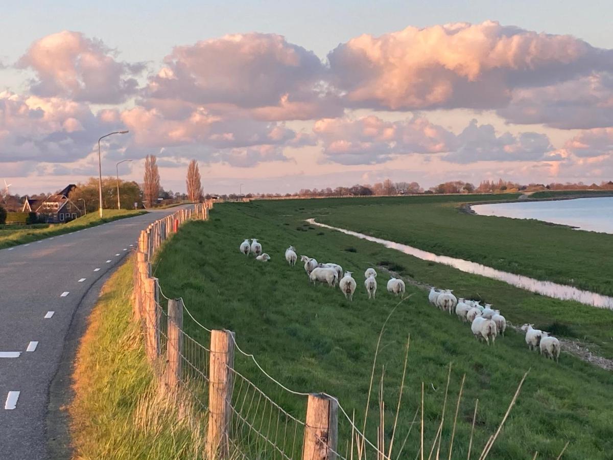 Vakantiehuis Het Uilennest Wijdenes Buitenkant foto
