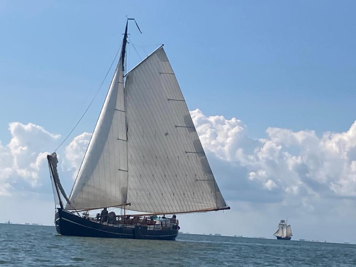 Vakantiehuis Het Uilennest Wijdenes Buitenkant foto