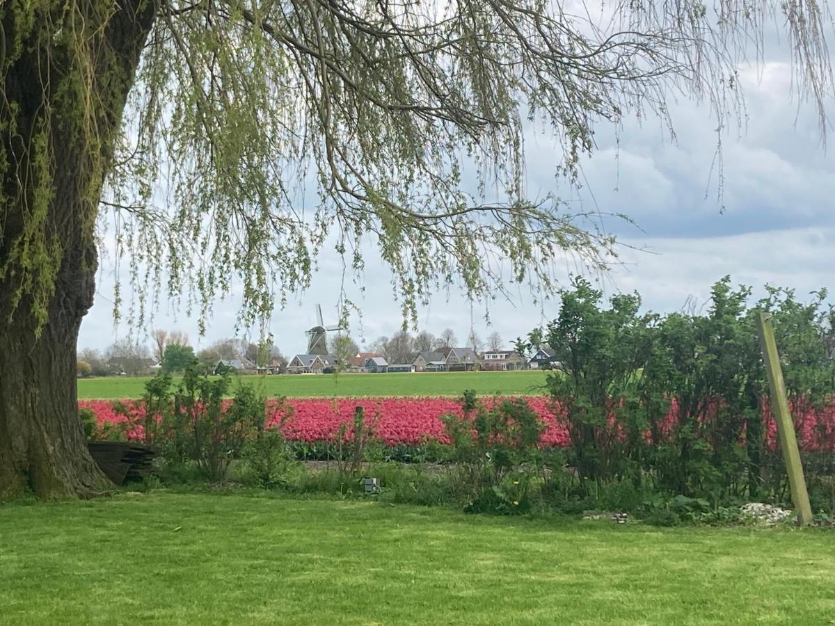 Vakantiehuis Het Uilennest Wijdenes Buitenkant foto