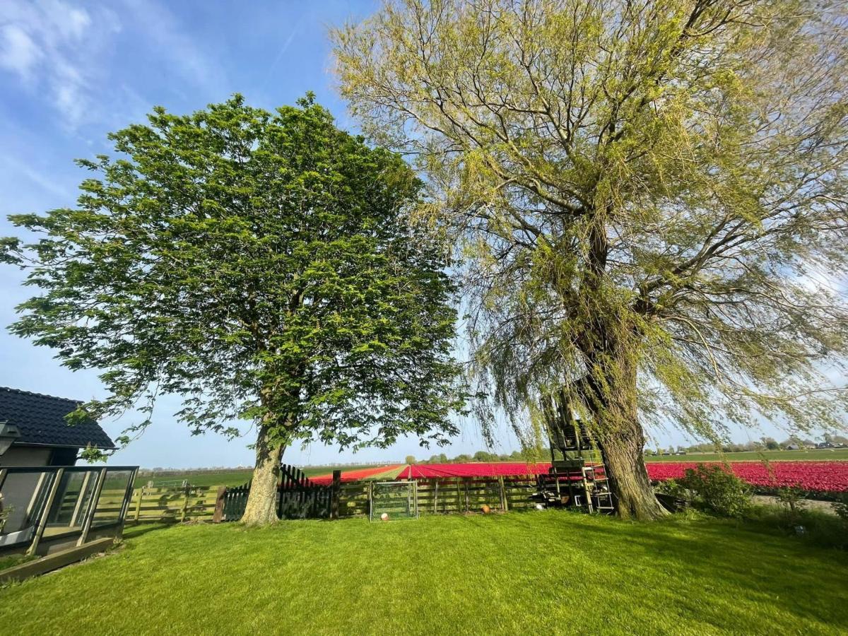 Vakantiehuis Het Uilennest Wijdenes Buitenkant foto