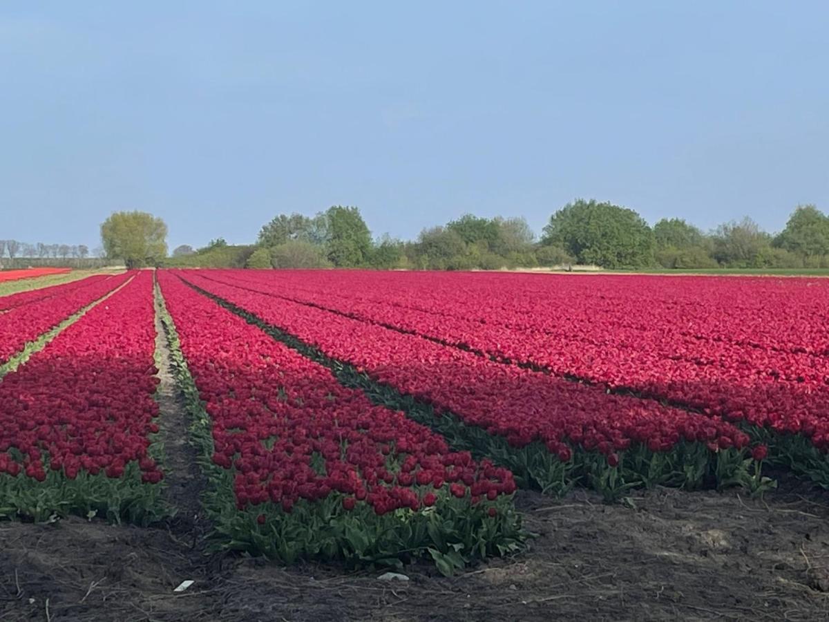Vakantiehuis Het Uilennest Wijdenes Buitenkant foto