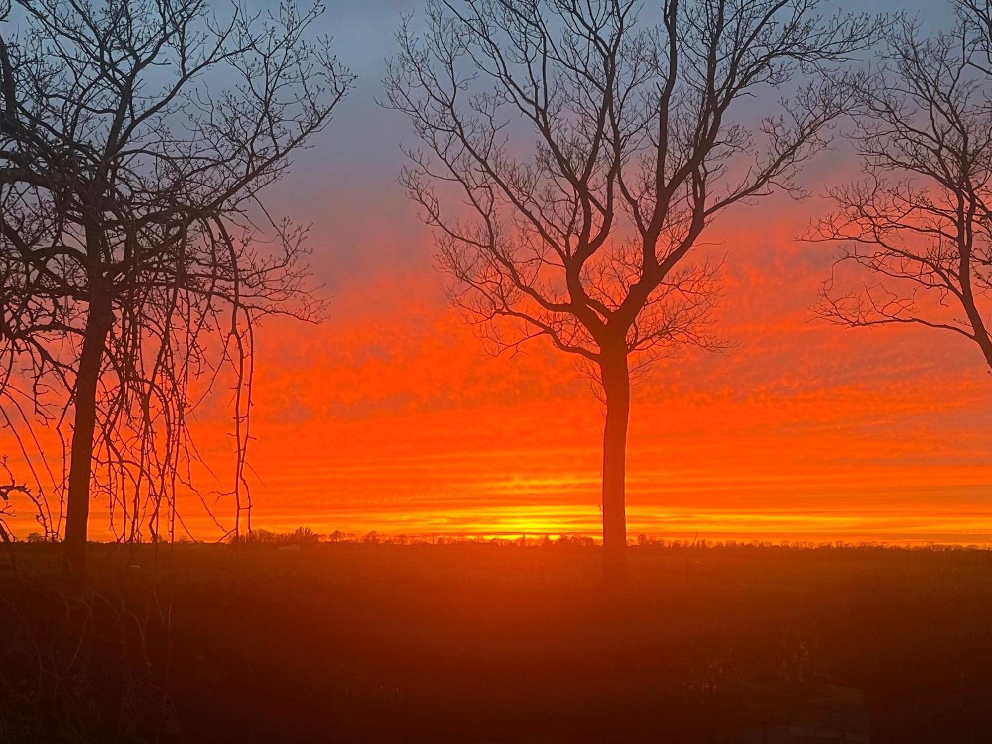 Vakantiehuis Het Uilennest Wijdenes Buitenkant foto