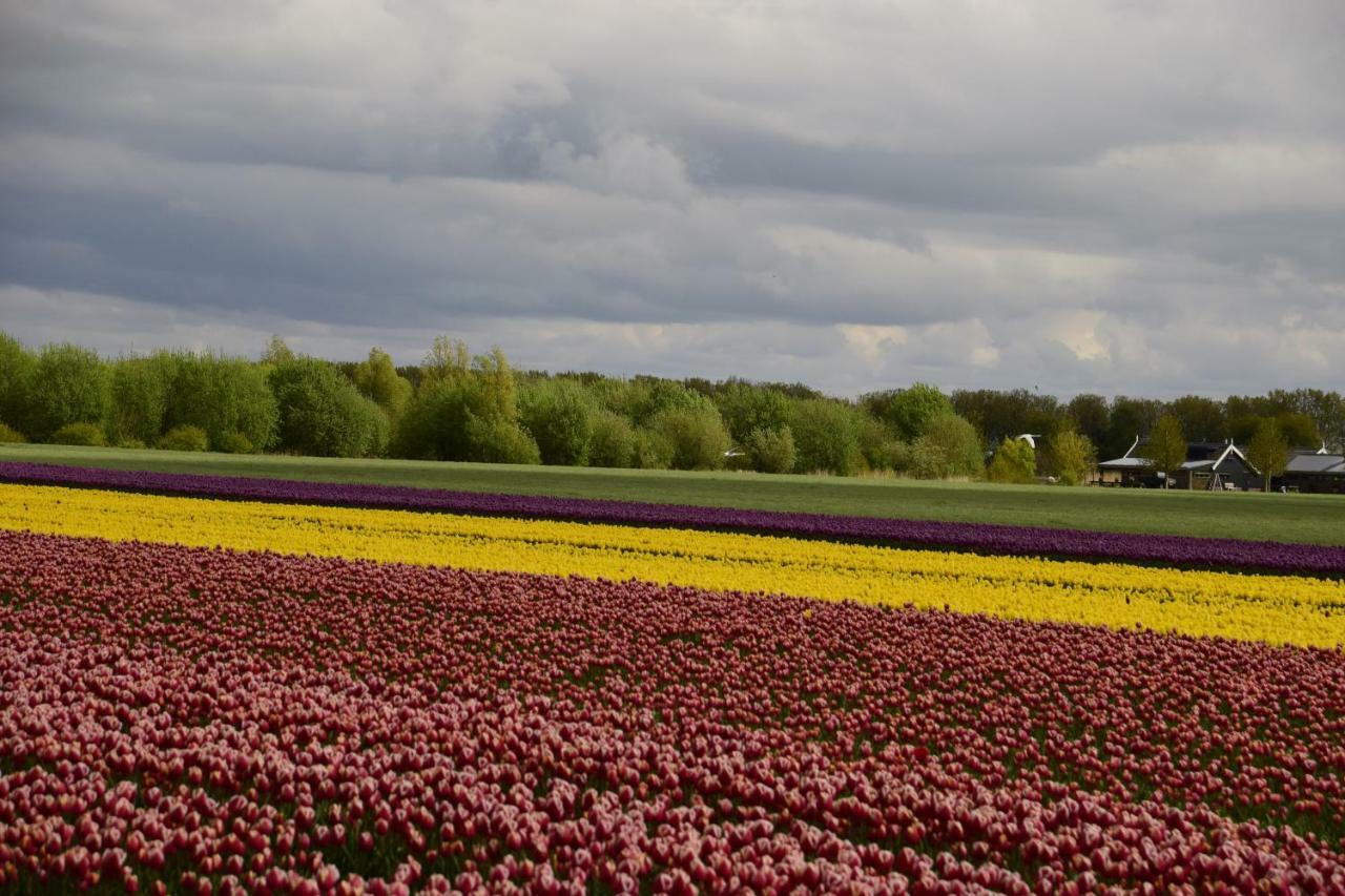 Vakantiehuis Het Uilennest Wijdenes Buitenkant foto
