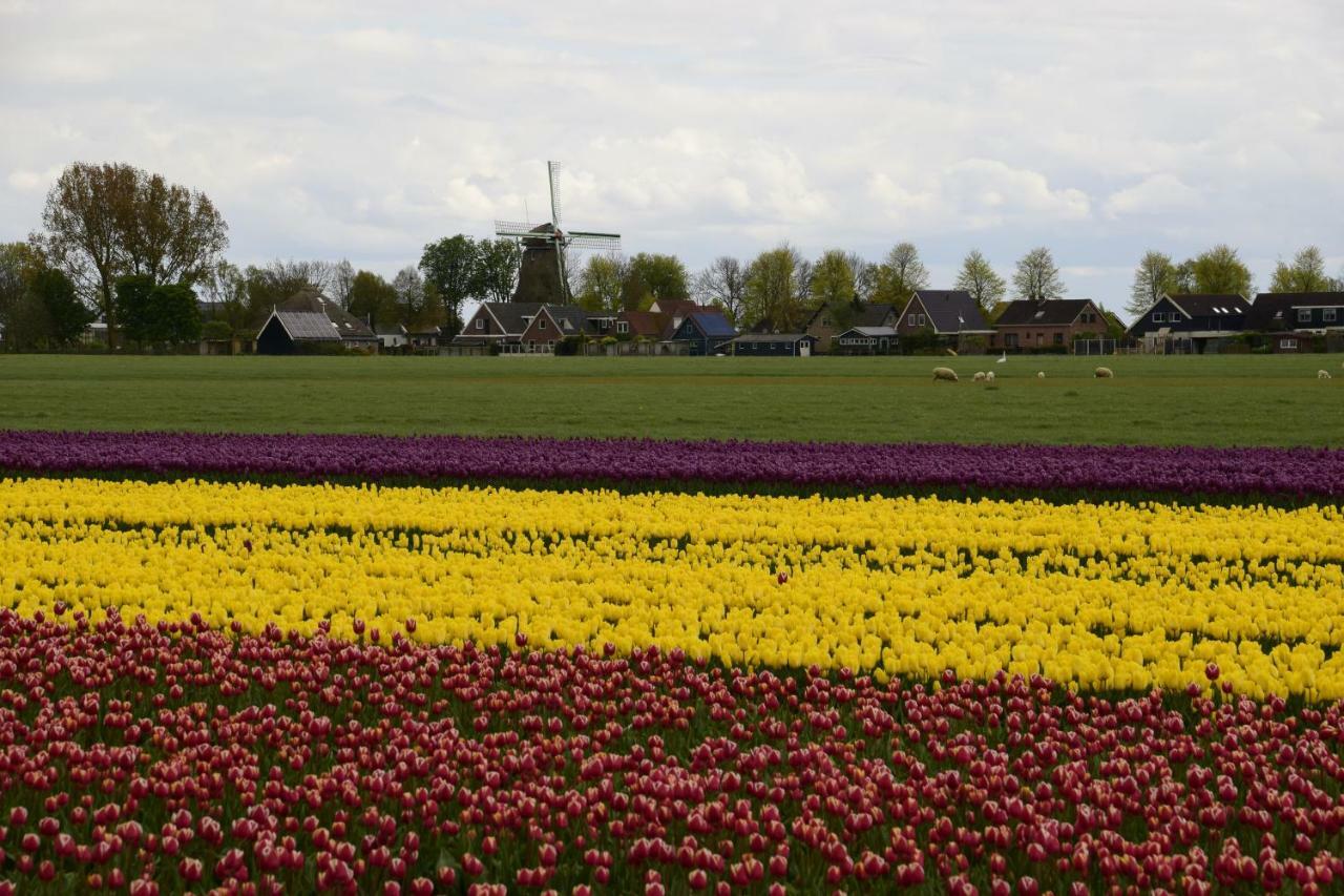 Vakantiehuis Het Uilennest Wijdenes Buitenkant foto