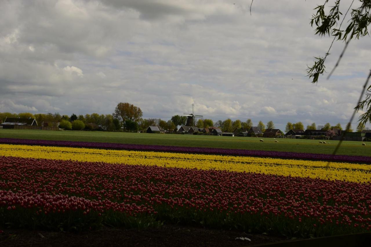 Vakantiehuis Het Uilennest Wijdenes Buitenkant foto